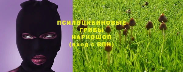 молекула духа Магас